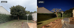 Photo de galerie - Tailles des haies, de l’arbre, nettoyage au Karcher des pavés, nettoyage et hivernage de la table et salon de jardin. 