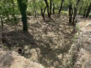 Photo de galerie - Débroussaillage forêt 