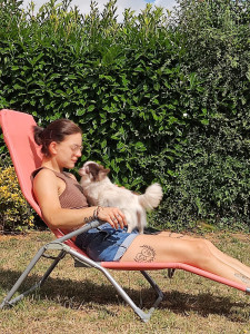 Photo de galerie - Garde chien