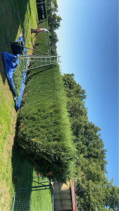 Photo de galerie - Avant