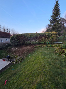 Photo de galerie - Haie qui n'avait jamais été taillé, coupe à la tronçonneuse puis au taille haie. 
Travail compliqué en raison d'un terrain en pente.