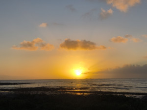 Photo de galerie - Bord de mer 