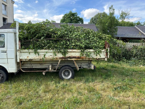 Photo de galerie - Chargement + évacuation déchets végétaux 