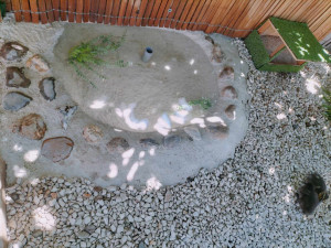 Photo de galerie - Creation d'un petit bassin pour canetons 