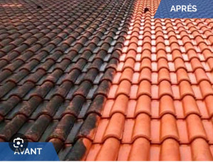 Photo de galerie - Couverture - Toiture