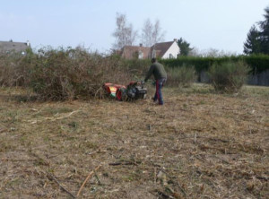 Photo de galerie - Tonte de pelouse - Débroussaillage