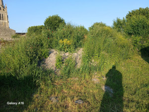 Photo de galerie - Paysagiste 