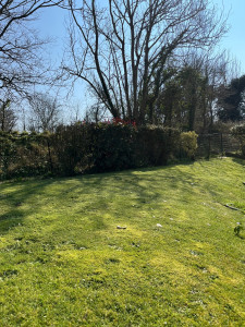 Photo de galerie - Tonte d’un jardin 