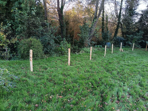 Photo de galerie - Clôture Grillage