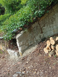Photo de galerie - Elagage et coupe d'arbres