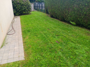 Photo de galerie - Tonte 