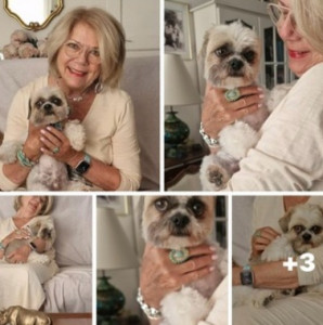 Photo de galerie - Garde animaux