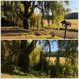 Photo de galerie - Paysagiste - Aménagement du jardin