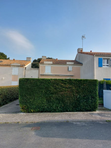 Photo de galerie - Taille de haies et d'arbustes