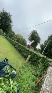 Photo de galerie - Taille de haies et d'arbustes