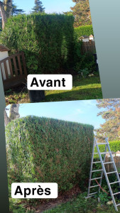 Photo de galerie - Paysagiste - Aménagement du jardin