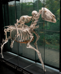 Photo de galerie - Photographe