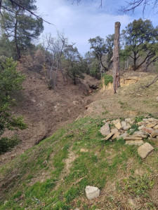 Photo de galerie - Tonte de pelouse - Débroussaillage