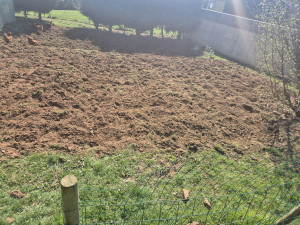 Photo de galerie - Paysagiste - Aménagement du jardin