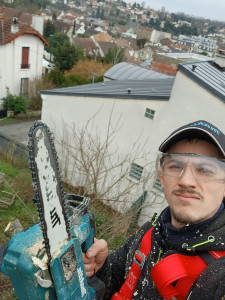 Photo de galerie - Elagage et coupe d'arbres