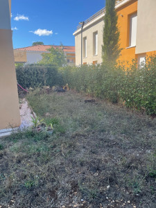 Photo de galerie - Tonte de pelouse - Débroussaillage