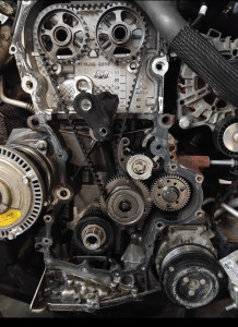 Photo de galerie - Distribution 100€