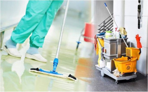 Photo de galerie - Bonjour nous sommes en écoute tout type de travail dans le nettoyage en entretien chez les particuliers entretien 