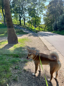 Photo de galerie - Promenade 