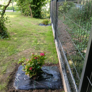 Photo de galerie - Paysagiste - Aménagement du jardin