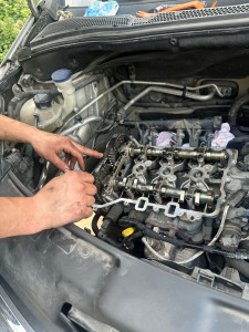 Photo de galerie - Distribution 