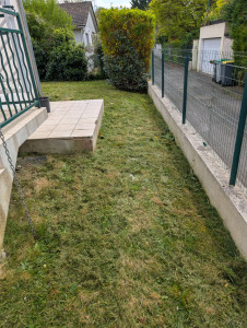 Photo de galerie - Tonte de pelouse - Débroussaillage