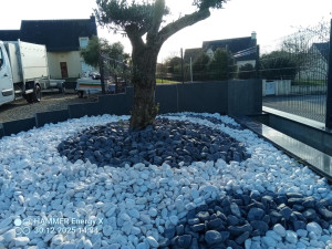 Photo de galerie - Après plantation d'un olivier on fait un décor 