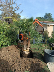 Photo de galerie - Plantation