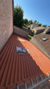 Photo de galerie - Nettoyage révision toiture hydrofuge coloré 