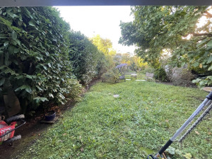 Photo de galerie - Taille de haies et d'arbustes