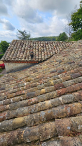 Photo de galerie - Bricolage et multi services