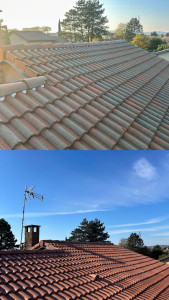 Photo de galerie - Rénovation toiture ( Mise en peinture spéciale toiture