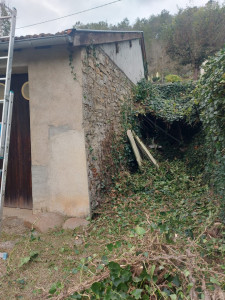 Photo de galerie - Tonte de pelouse - Débroussaillage