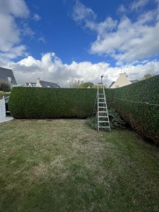 Photo de galerie - Taille 