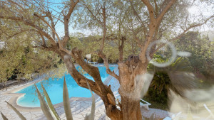 Photo de galerie - La piscine aussi est une affaire personnelle !