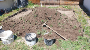 Photo de galerie - Paysagiste - Aménagement du jardin