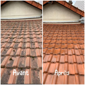 Photo de galerie - Nettoyage toiture
