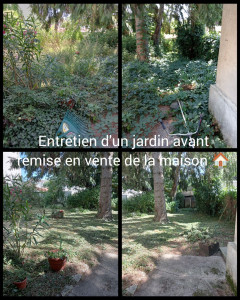Photo de galerie - Entretien d'un jardin avant remise en vente de la maison.