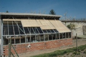 Photo de galerie - Serre