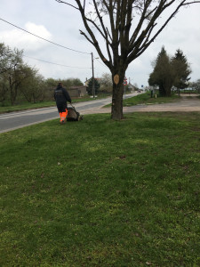 Photo de galerie - Tonte de pelouse - Débroussaillage