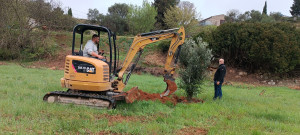 Photo de galerie - Plantation petit terrassement desouchage...