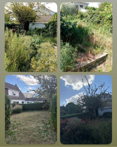 Photo de galerie - Avant après débroussaillage , tonte de pelouse , haie tailler évacuation 
