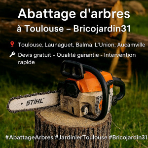 Photo de galerie - Abattage, élagage  toulouse 
