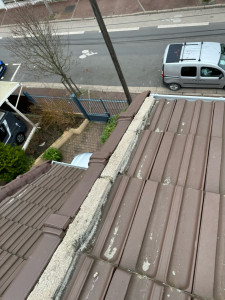 Photo de galerie - Couverture - Toiture