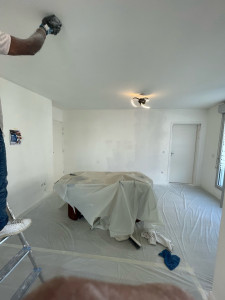 Photo de galerie - Enduit et peinture dans le salon 